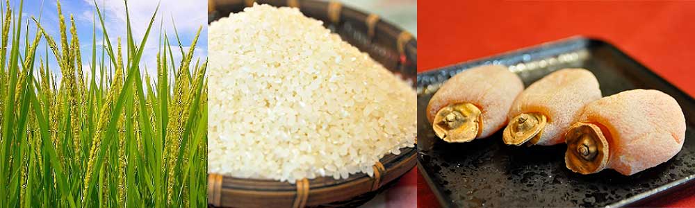 南信州のお米と市田柿